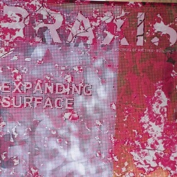 Founding Co-editor, PRAXIS, journal of writing and building