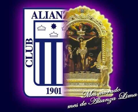 aldo_stuva's profile picture. 