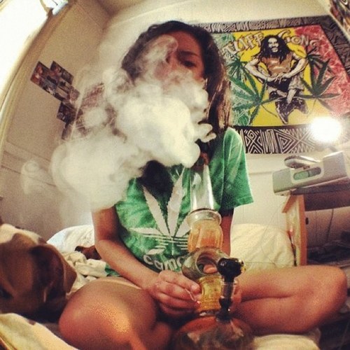 Living the life of a stoner