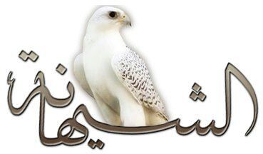 تجاهل كل شيء ياخذ فرحتكك . وعش حراا