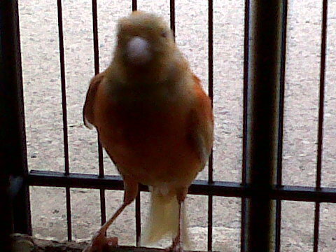 Adi_jebrag's profile picture. Mengalir bagai sungAi ,menata kehidupan