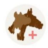 Yo Soy Veterinario (@soyveterinario) 's Twitter Profile