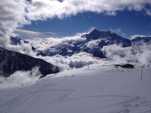 Sheep104's profile picture. 