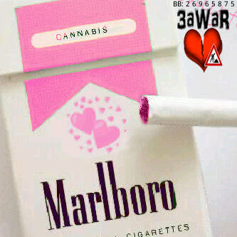PIN:2A5C8B4D