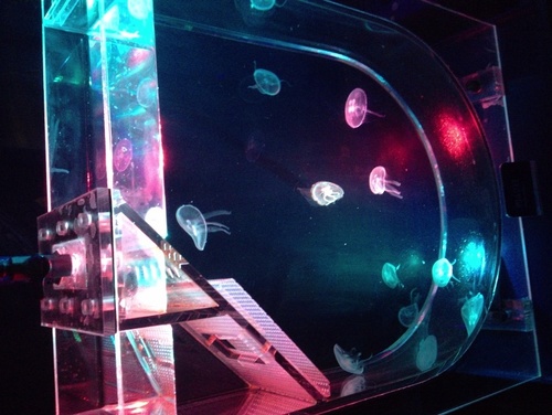 knowledge_ja's profile picture. 突然落ちてしまった者です。 沼地優吾さんを応援しています📣