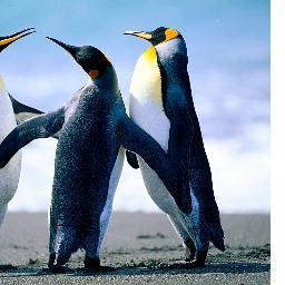 ashwithreddy99's profile picture. 