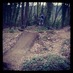 Brodie Kemp (@brodie_kemp) Twitter profile photo