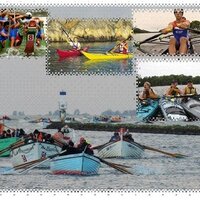Stichting R.E.A. (@stichtingrea) 's Twitter Profile