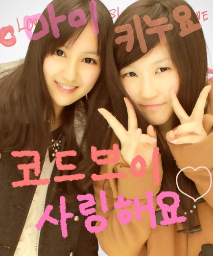 I love k-pop リプ専用アカ☆                                                                코드브이