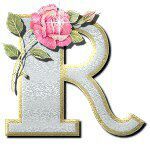 rljodar's profile picture. 