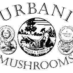 Urbani Funghi Division aims to extend quality to its word-serving clients.The focus of our business is mainly on frozen and dried porcini mushrooms.Follow us!