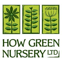 Wholesale nursery supplying garden designers, landscapers, retailers & local authorities. Perennials, grasses, alpines, herbs, shrubs, hedging, trees, topiary.