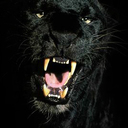 Mark Thistlethwaite - @MarkPamfa - Twitter