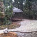 Manoj Soman - @ManojSoman1110 - Twitter