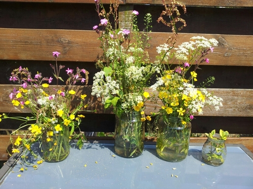 Marjopower's profile picture. 