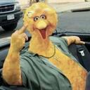 Dane - @DaneMeaux - Twitter