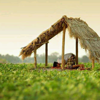 AlprnsG's profile picture. 