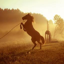 Gevarra33's profile picture. Даже если что-то не ладится, никогда не забывайте: все проходит и это тоже. Все будет хорошо.

Успокойтесь.

Живите.

Верьте.