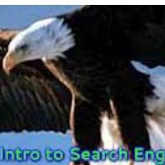 Eagle Search engine is fast and easy to used. So com and take a look around we all so have software that can help you with your SEO Search engine optimization