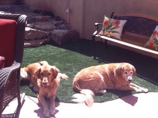 sschram47's profile picture. 