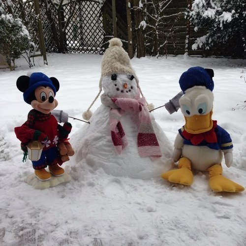 PaulaAveyard's profile picture. 