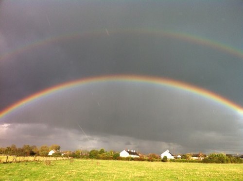 _mills70's profile picture. 