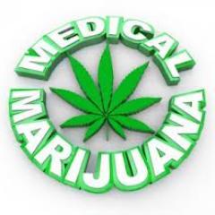 Marijuana Growing Or Any Problem Related to Marijuana Issue Contact Me On http://t.co/5P93hFw5
