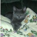 Don Keefer - @tbmdonk - Twitter