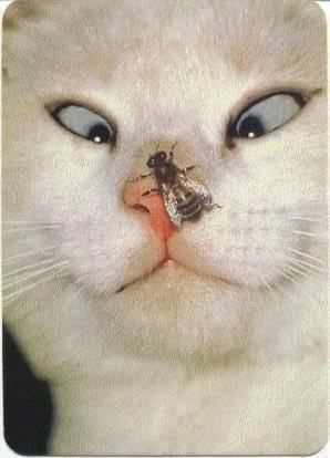 9soneDenisov's profile picture. 