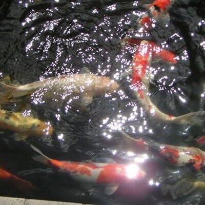 みっちゃん様♪ ぷるぷる番長みっちゃん (@mzk108t) / X