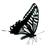 AnadaviAvocats's profile image
