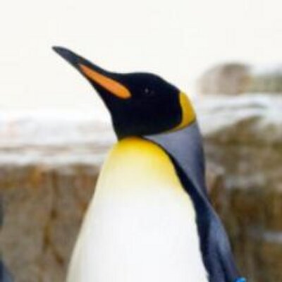 Pengin10 森永製菓 大粒ラムネ41g 10袋入 駄菓子ワールド普通のラムネ より大きさが1 5倍になったバージョン パッケージもボトルではなく カチャカチャ音がならないでかばんに入れて持ち運びもしやすい小 T Co 9djxtpdm6p Pengin10 森永製菓 大粒ラムネ41g 10袋入 駄菓子ワールド普通のラムネ より大きさが1 5倍になったバージョン パッケージもボトルではなく カチャカチャ音がならないでかばんに入れて持ち運びもしやすい小 T Co 9djxtpdm6p