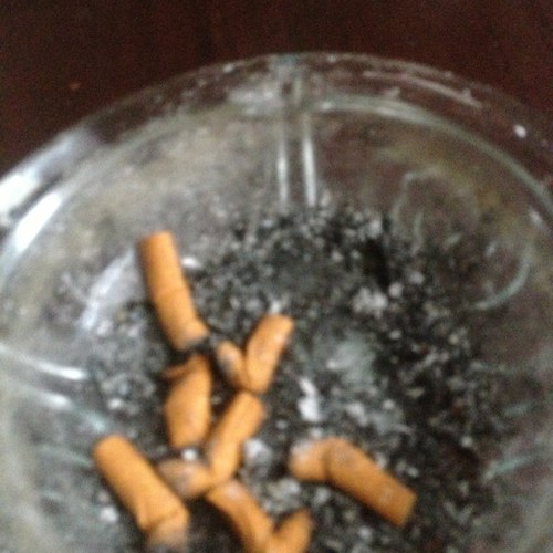 FREE