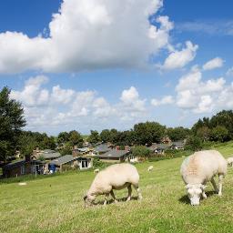 hetgrootslag1's profile picture. Vakantiepark Het Grootslag  - Direct a/h IJsselmeer - Chalets - Bungalows - Zwembad - Faciliteiten. Een prachtige vakantiebestemming tijdens alle seizoenen !