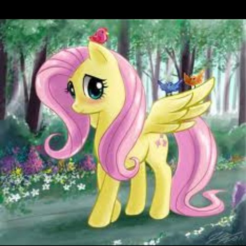 R34_Zebrina's profile picture. I am a brony.i hang out with friends.If you ever want to RP DM me and my favorite of the main 6 is fluttershy cause of her personality is so funny and awesome.