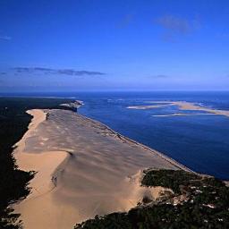 CathyJoucla's profile picture. 