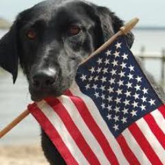 MisterAmericana's profile picture. 