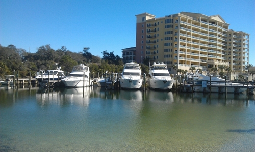 linecook504's profile picture. 