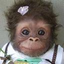 kathryn Joseph - @kathjose - Twitter