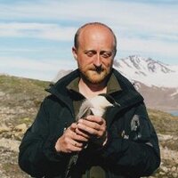 Sveinn Are Hanssen (@sveinnare) 's Twitter Profile Photo Sveinn Are Hanssen (@sveinnare) 's Twitter Profile Photo
