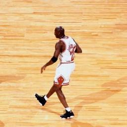 Nothing ventured nothing gained ! #Basketball #Photography #Breeding #Marketing&Financials #Art&Culture #Books #Discoveries #Quietness #Design&Creativity
