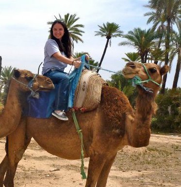 nc362's profile picture. Epidemiologist | Van lifer | Obligatory disclaimer that tweets are my own and I don’t represent the views of my employer