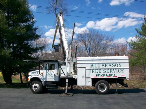 Whether your trees need a simple pruning or complete removal, All Season Tree Service has the expertise to get the job done.