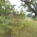 Fred Newtz - @FredNewtz - Twitter