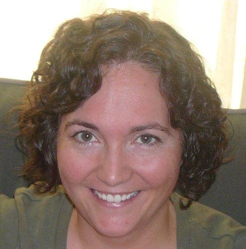 Workforce Optimization Solutions Consultant