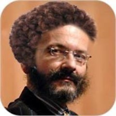 Dicono che (non) sono (più) candidato. [aggiornato 20 febbraio 2013]