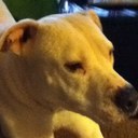 Desi barnes - @DesiLexi38 - Twitter