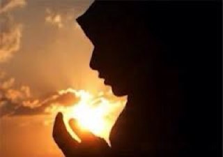 salehaAlshehre's profile picture. 