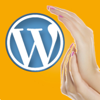 Getting WordPress to Work for You