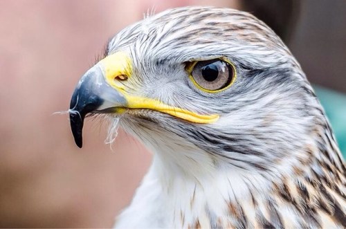 bnt305's profile picture. 